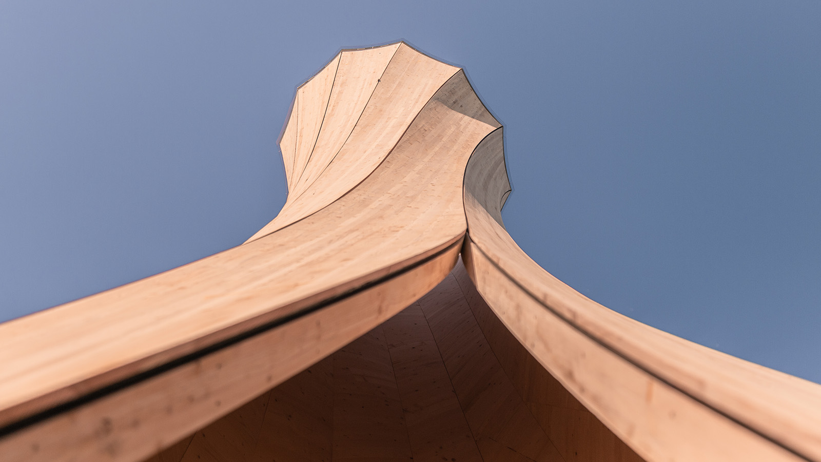 Кулата Урбах – първата структура в света, направена от самооформящо се дърво